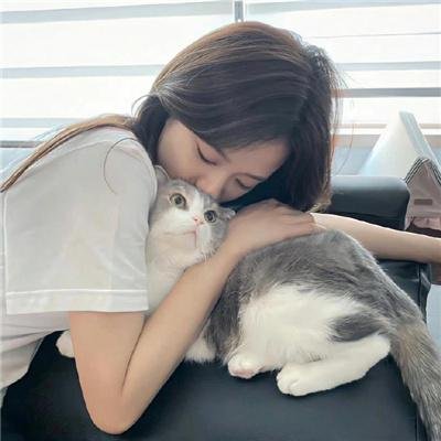贝拉米犯罪事件簿
